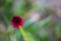 20220624-DSC07390.jpg